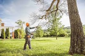 Ovilla, TX Tree Services Company